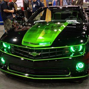 Meet your Posher, Samuel